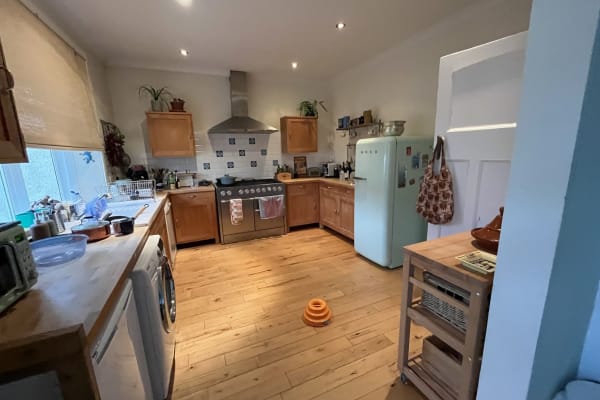 House sit in Glasgow, United Kingdom