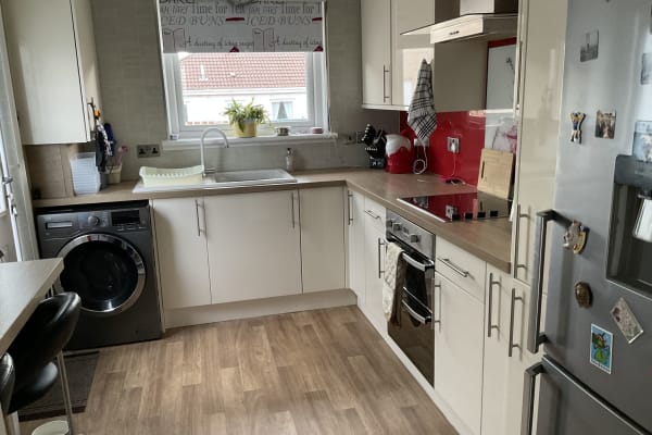 House sit in Tillicoultry, United Kingdom