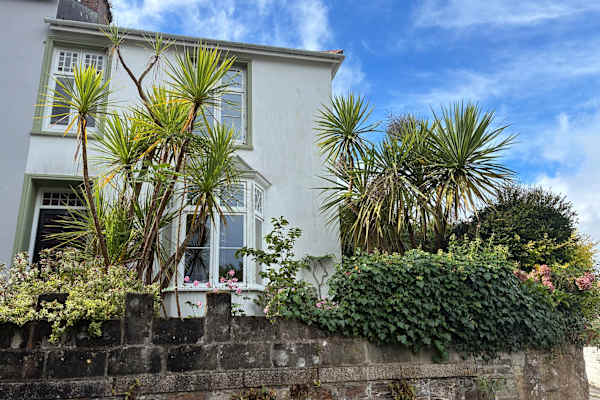 House sit in Falmouth, United Kingdom
