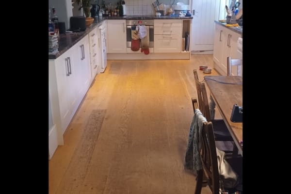 House sit in Carisbrooke, United Kingdom