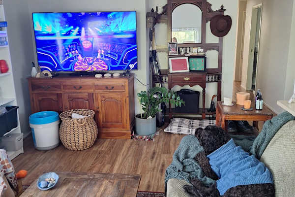House sit in Caloundra, QLD, Australia