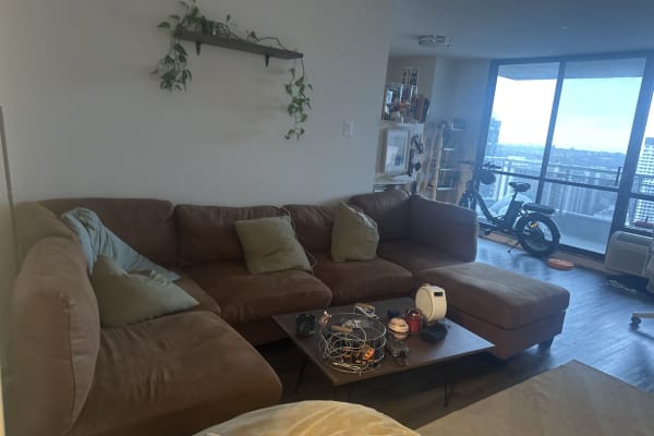 House sit in Toronto, ON, Canada