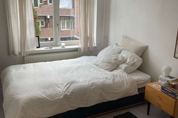 House sit in Amsterdam, Netherlands
