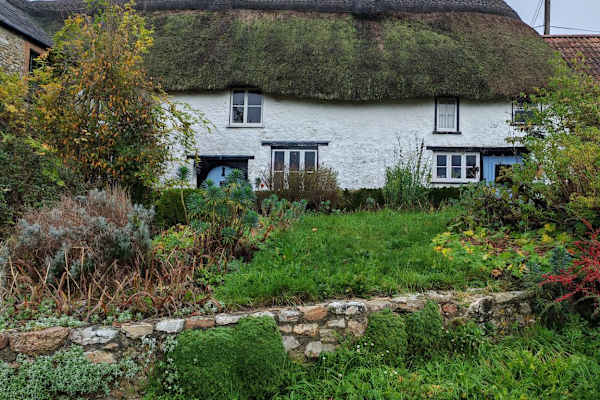 House sit in Axminster, United Kingdom