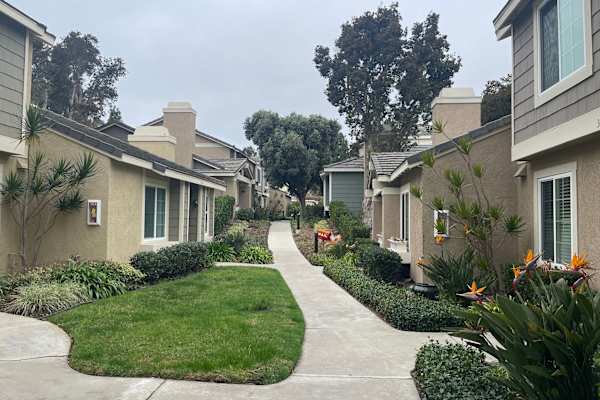 House sit in San Diego, CA, US