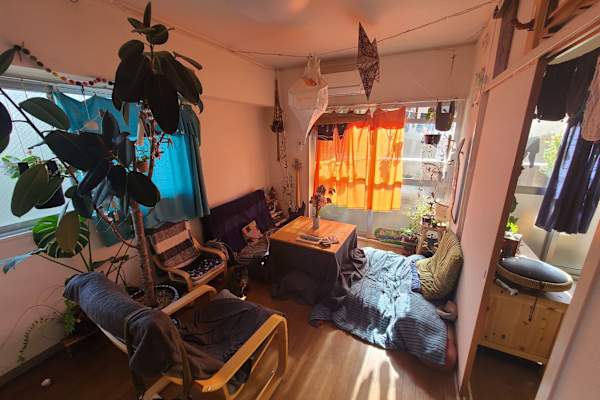 House sit in Matsuyama, Japan