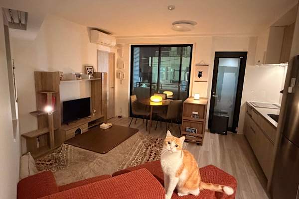 House sit in Tokyo, Japan