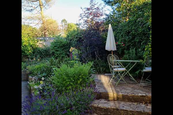 House sit in Bath, United Kingdom