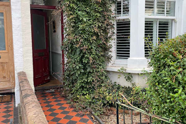 House sit in London, United Kingdom