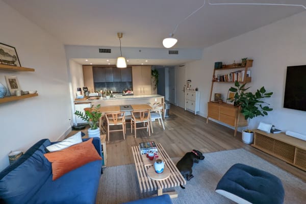 House sit in Brooklyn, NY, US