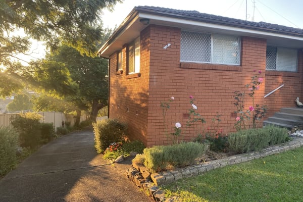 House sit in Scarborough, NSW, Australia