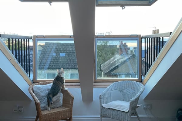 House sit in Cambridge, United Kingdom