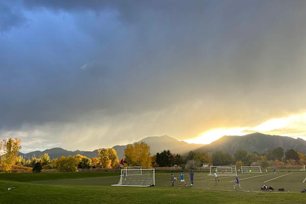 House sit in Louisville, CO, US