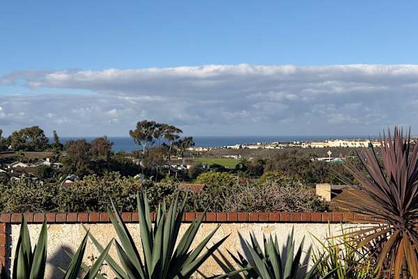 House sit in San Clemente, CA, US