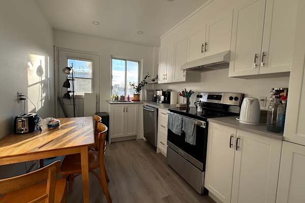 House sit in Montréal, QC, Canada