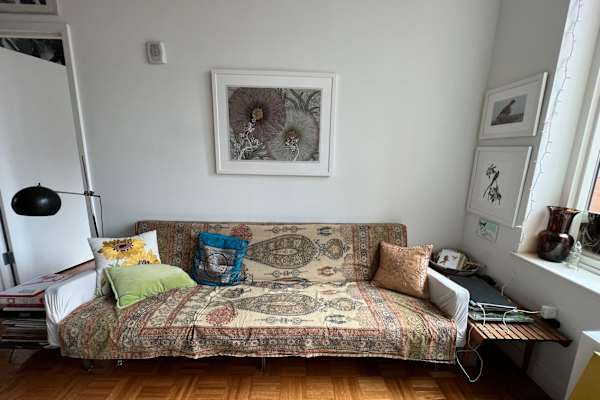 House sit in Manhattan, NY, US