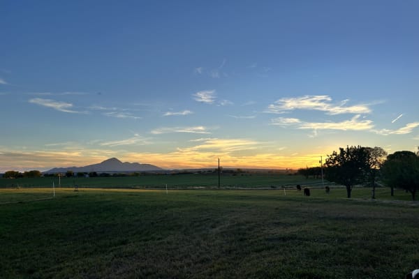 House sit in Cortez, CO, US