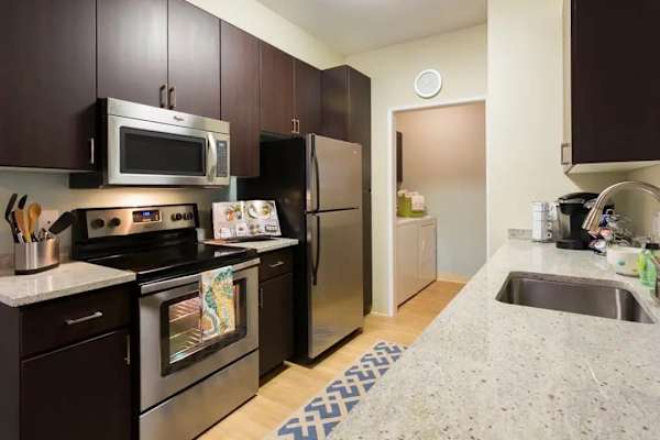 House sit in Campbell, CA, US