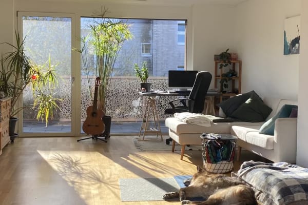 House sit in Zürich, Switzerland