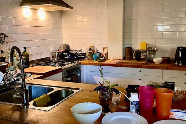 House sit in Melbourne, VIC, Australia