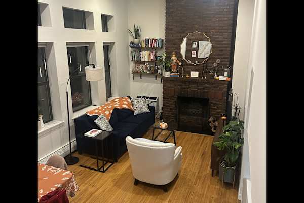 House sit in Manhattan, NY, US