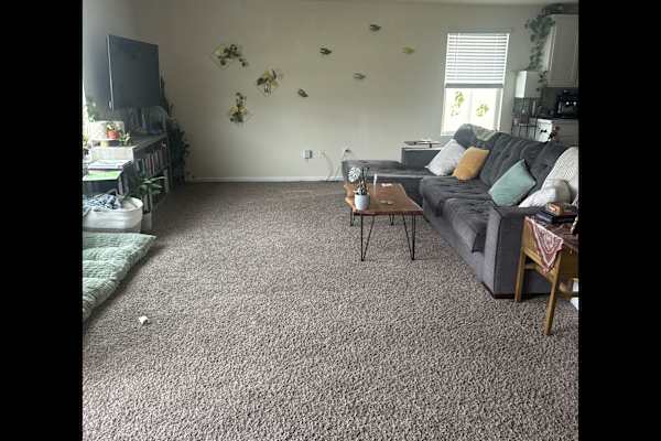 House sit in Green Cove Springs, FL, US