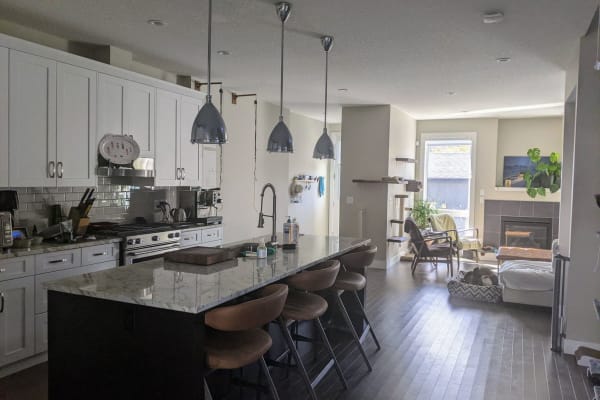 House sit in Calgary, AB, Canada