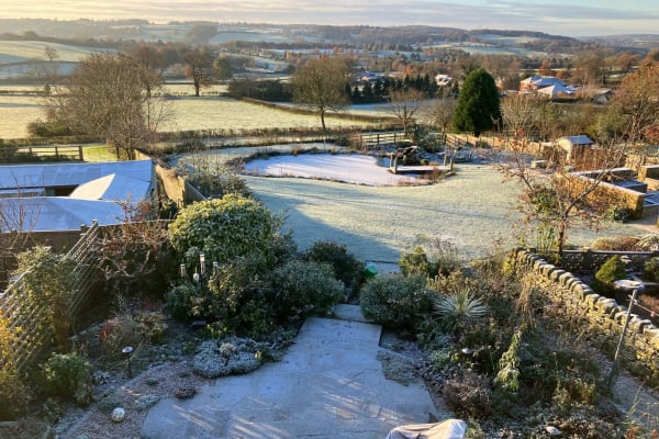 House sit in Derby, United Kingdom