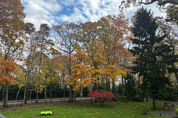 House sit in Hampton Bays, NY, US