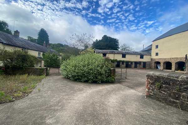 House sit in Cheriton Fitzpaine, United Kingdom