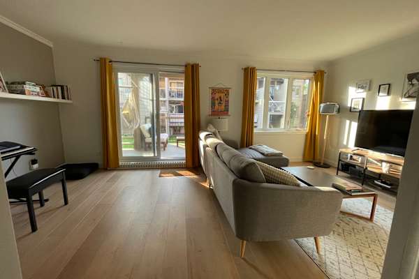 House sit in Québec, QC, Canada