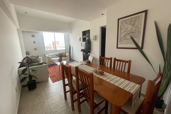House sit in Mexico City, Mexico