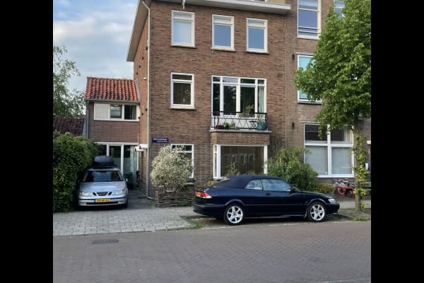 House sit in Amsterdam, Netherlands