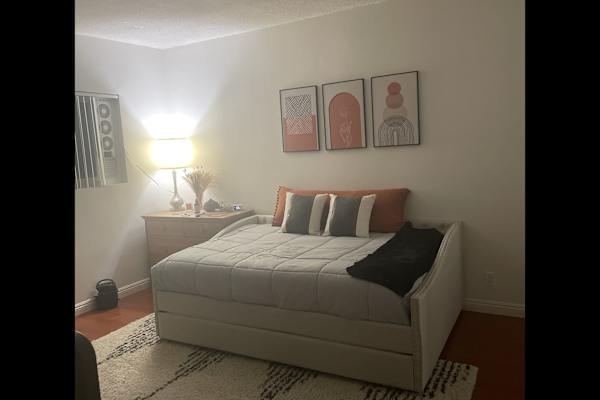 House sit in Culver City, CA, US