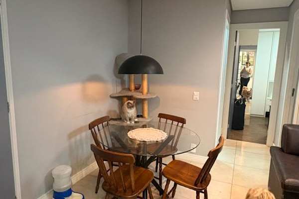 House sit in São Paulo, Brazil