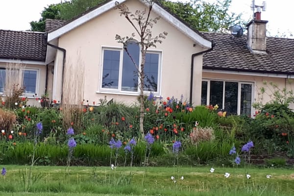 House sit in Rathcoole, Ireland
