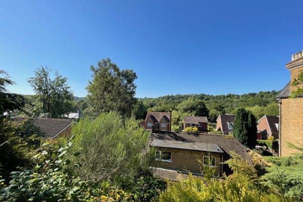 House sit in Godalming, United Kingdom