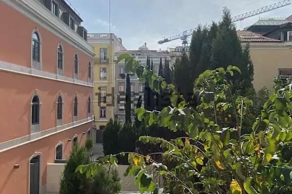 House sit in Lisbon, Portugal