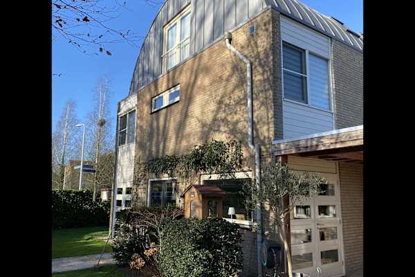 House sit in 's-Hertogenbosch, Netherlands