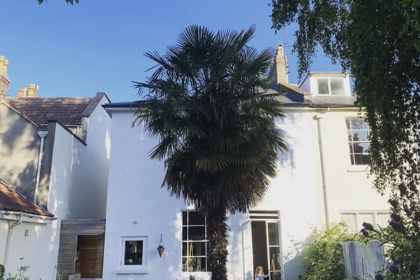 House sit in Bristol, United Kingdom