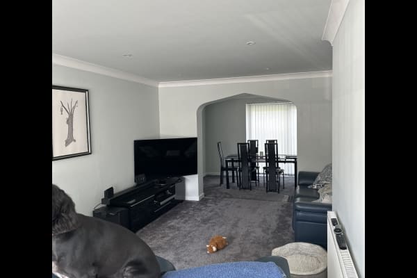 House sit in Wimborne Minster, United Kingdom