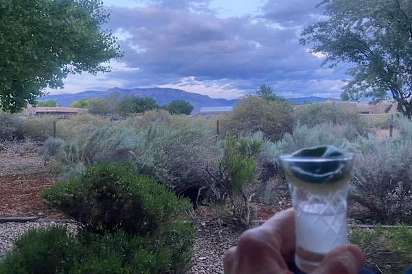 House sit in Corrales, NM, US