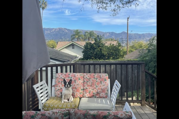 House sit in Santa Barbara, CA, US