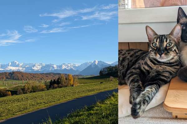 House sit in Bern, Switzerland