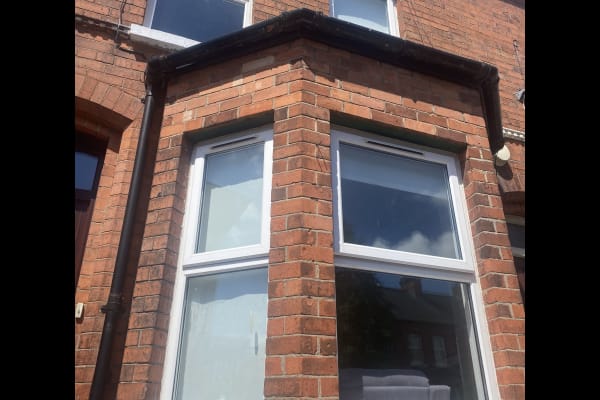 House sit in Belfast, United Kingdom