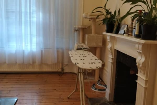 House sit in Finsbury Park, United Kingdom