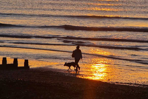 House sit in Eastbourne, United Kingdom