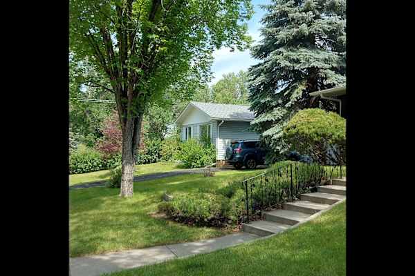 House sit in Calgary, AB, Canada