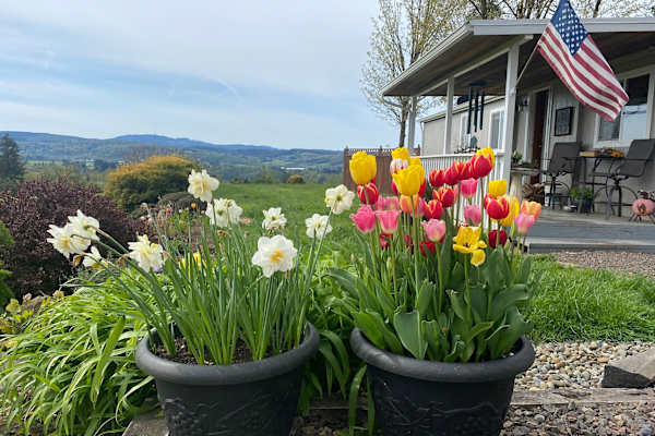 House sit in Mossyrock, WA, US