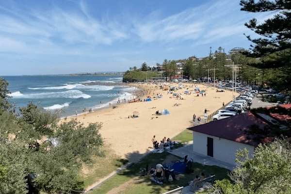 House sit in Scarborough, NSW, Australia